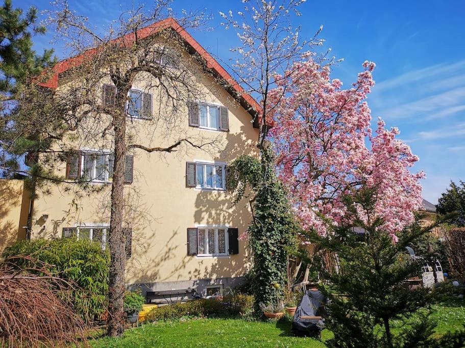 70Qm 3-Zimmer Apartment Am Tauernradweg In Hallein Bei Salzburg, Nahe Berchtesgaden, Rossfeld, Kehlsteinhaus, Obersalzberg, Watzmann, Schoenau Am Koenigsee, Bad Vigaun, Schloss Hellbrunn, Burg Hohen Salzburg, Burg Hohen Werfen # Beherbergungsbetrieb Eksteriør bilde
